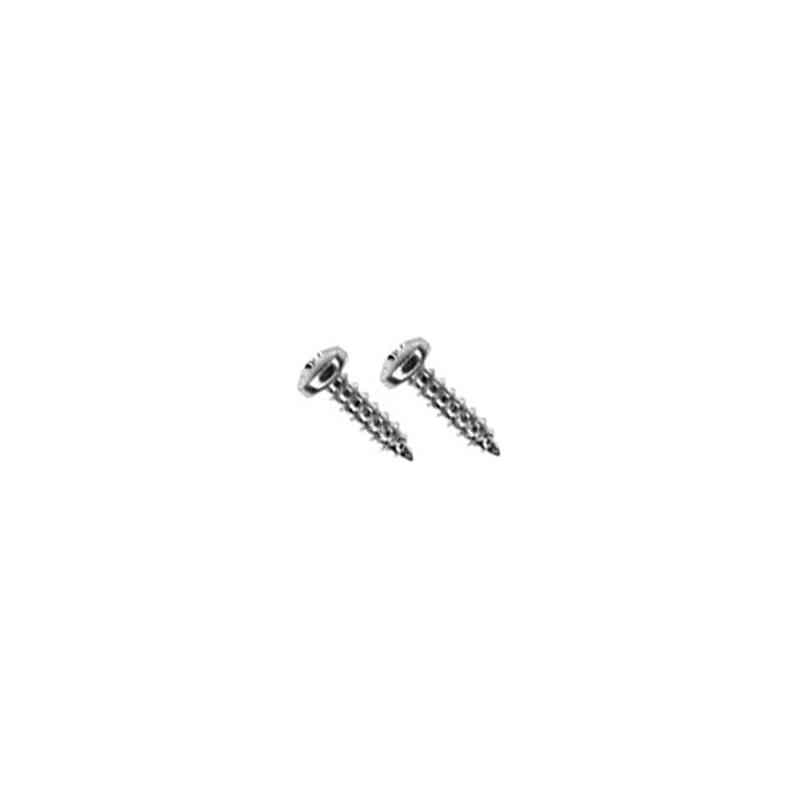 STAINLESS STEEL SOCKET & GOOSENECK SCREWS X 2 - 13MM