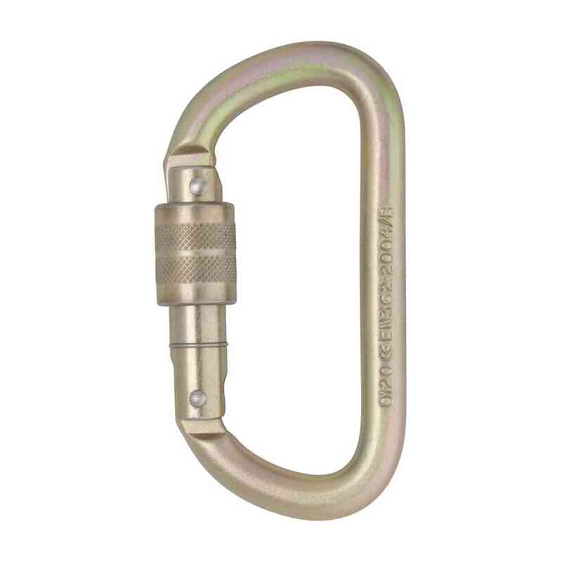 Steel 10mm Equal D Screwgate Carabiner